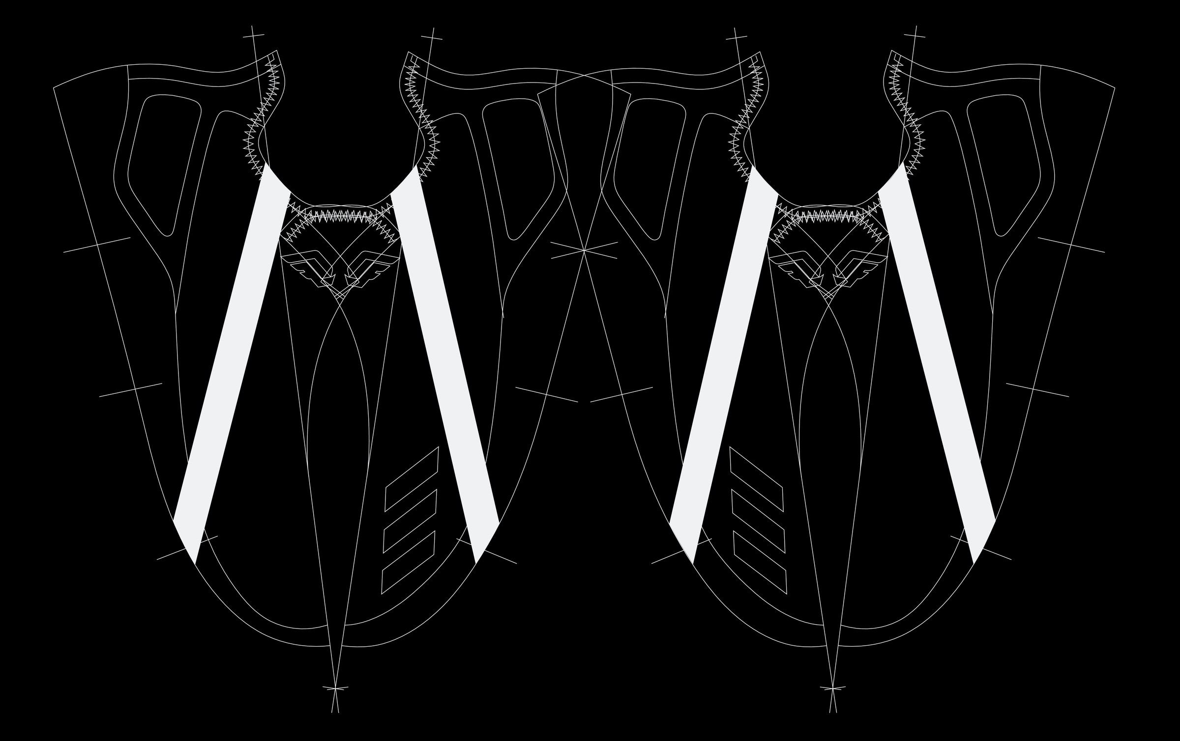 Upper shell pattern in white line on black, two halves side by side with the three stripes as long white bars.